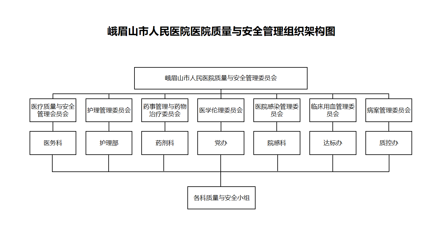 峨眉山市人民医院质量与安全管理组织架构图.png